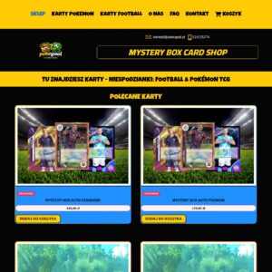 Tworzenie stron internetowych i sklepów dla firm